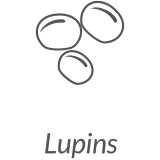 Lupins